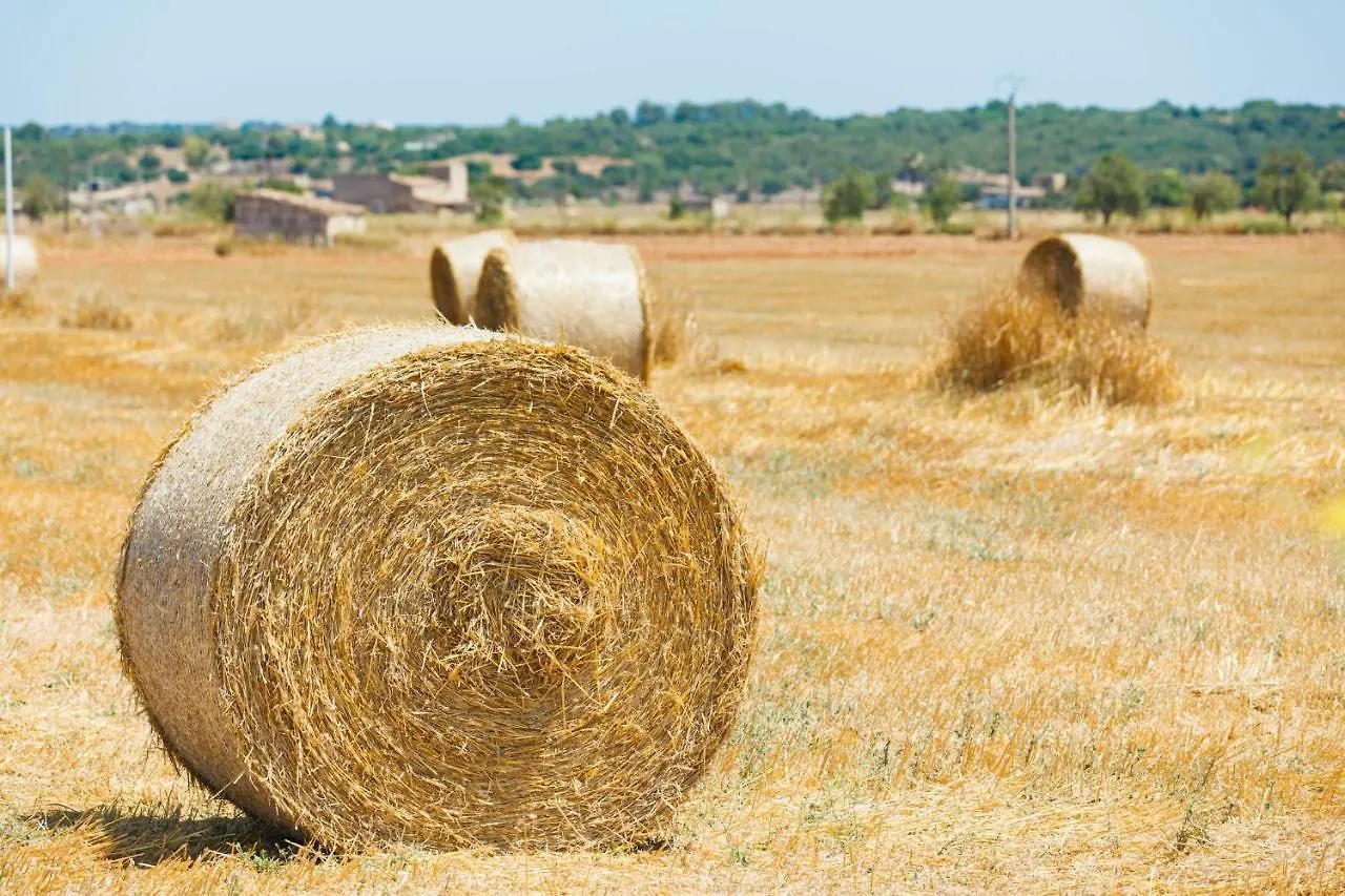 102 Finca Caselles De Baix Etv392 By Mallorca Charme Pollença